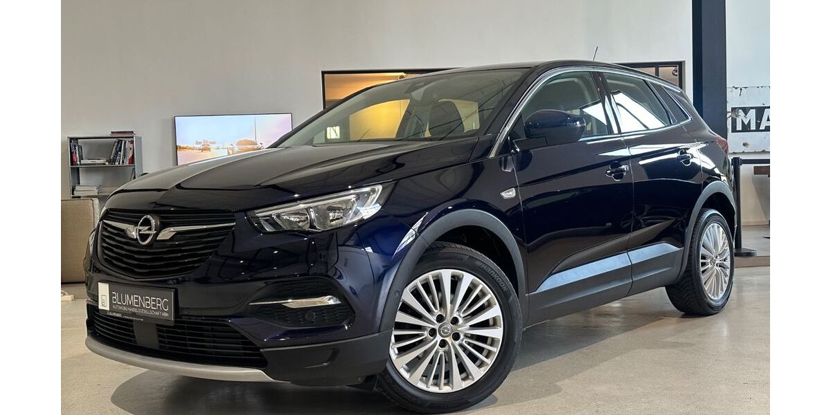 Opel Grandland (X) 169.605 km 8.980 &euro; Rodgau-Weiskirchen/nähe Frankfurt am Main 63110