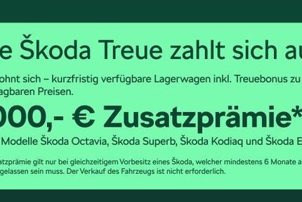 Skoda Kodiaq 4.500 km 54.980 &euro; Frankfurt 60435