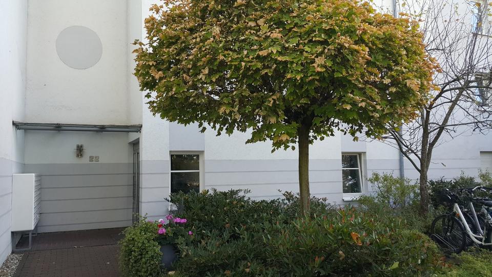 Etagenwohnung Darmstadt Darmstadt-West - 1 Zimmer, 32 m&sup2;, 99.000&euro; | Angebot:23384775