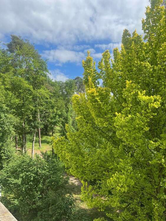 Wohnung zum Kaufen in Darmstadt 187.000 € 67.83 m²