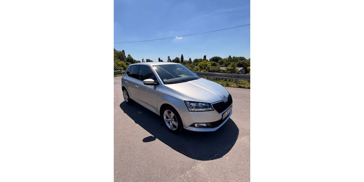 Skoda Fabia 74.400 km 9.590 &euro; Offenbach 63075