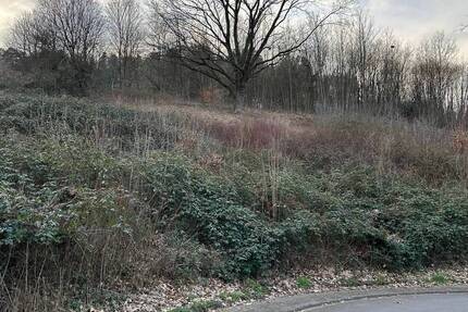 Grundstück Breuberg Hainstadt - 139.000&euro; | Angebot:19305246