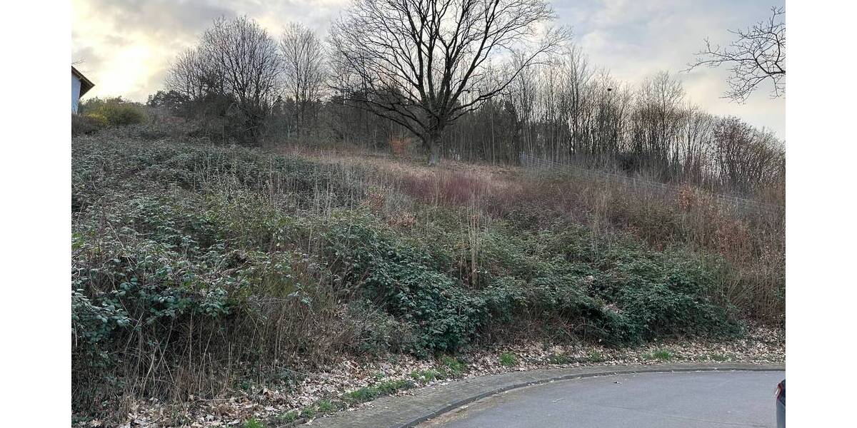 Grundstück Breuberg Hainstadt - 139.000&euro; | Angebot:19305246