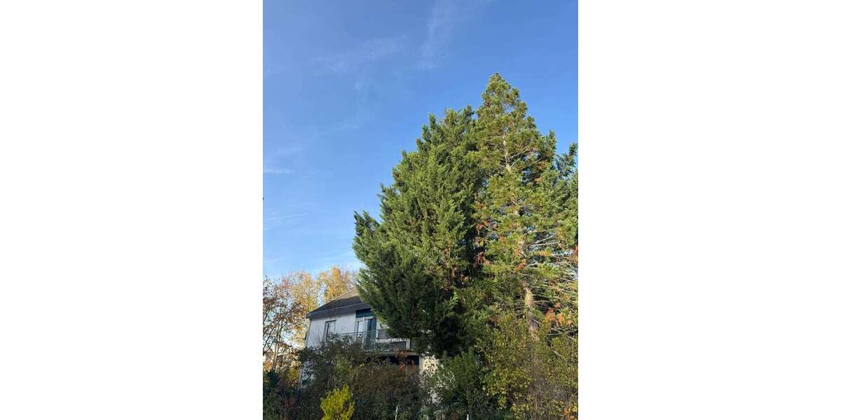 Einfamilienhaus Darmstadt Darmstadt-Ost - 13 Zimmer, 310 m&sup2;, 1.290.000&euro; | Angebot:25875353