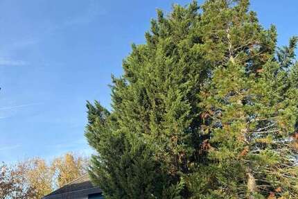 Haus Darmstadt Darmstadt-Ost - 13 Zimmer, 310 m&sup2;, 1.290.000&euro; | Angebot:25875353