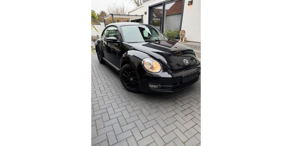 VW Beetle 228.015 km 5.999 &euro; Groß Gerau 64521