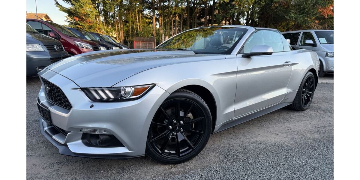 Ford Mustang 85.000 km 21.900 € Nauheim 64569
