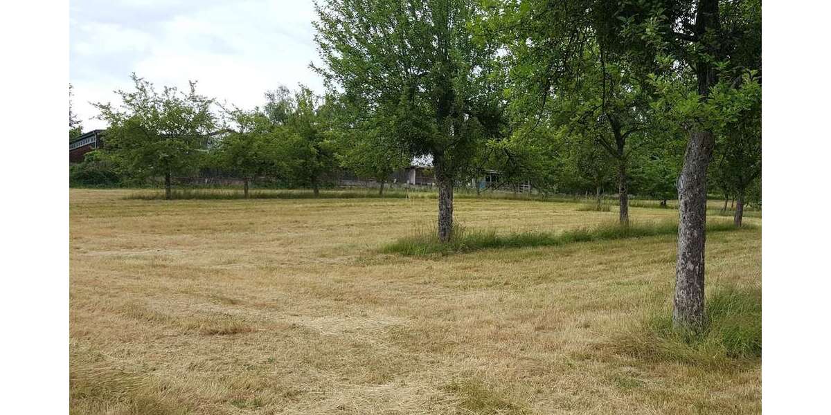 Grundstück Lindenfels - 95.000&euro; | Angebot:27029812