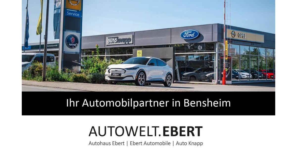 Opel Grandland (X) 74.800 km 18.690 &euro; Bensheim 64625
