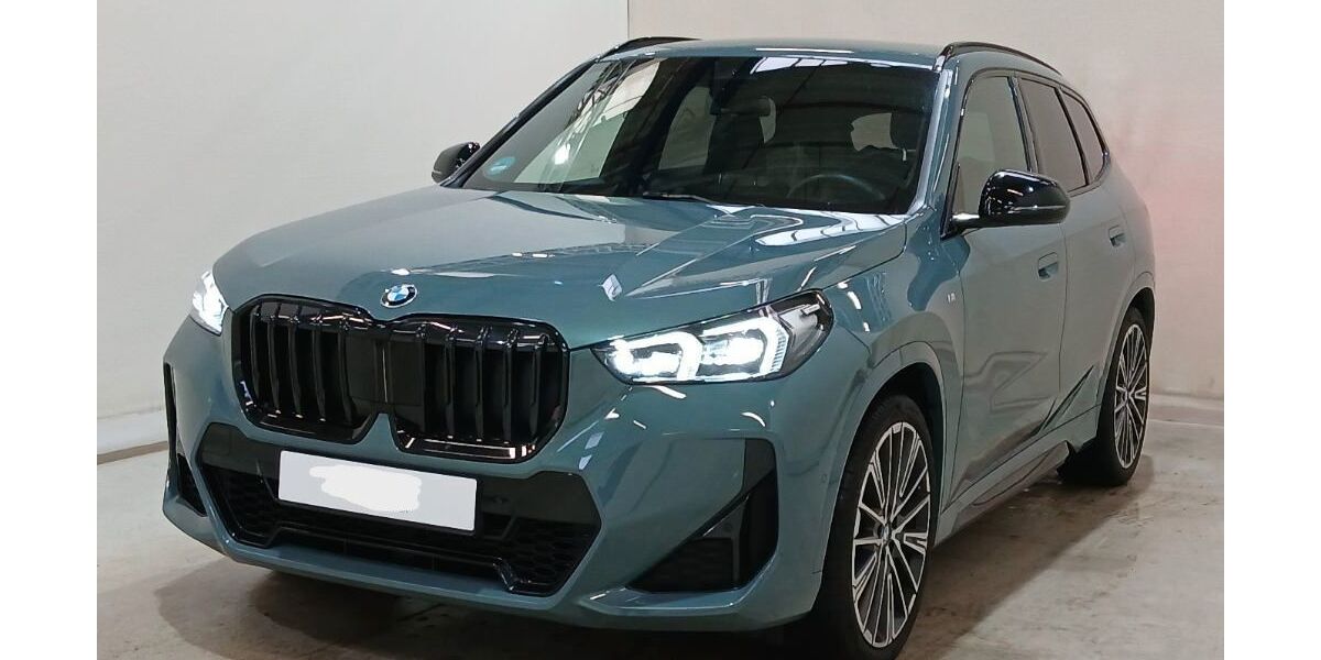 BMW X1 45.800 km 43.500 &euro; Bad König 64732