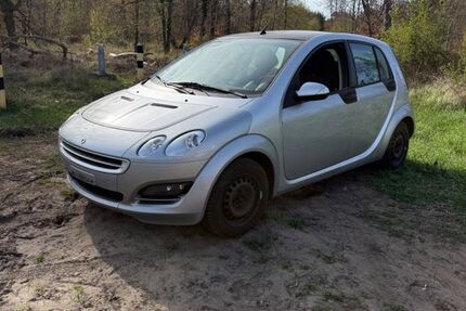 Smart ForFour 305.000 km 1.600 &euro; Pfungstadt 64319