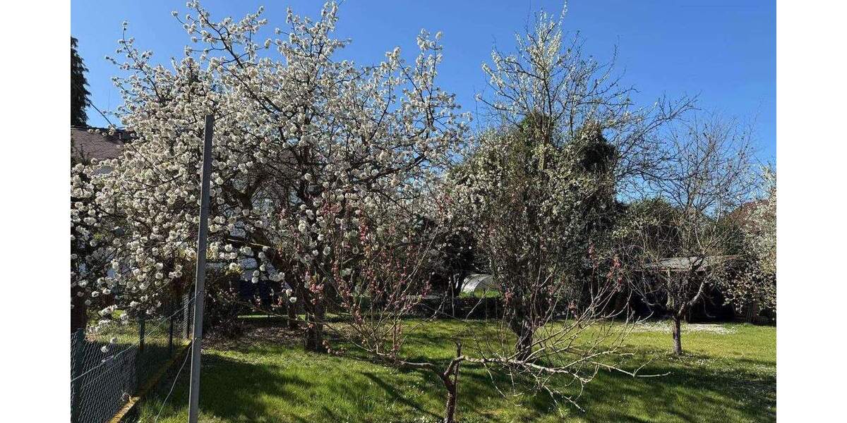 Bungalow mit großem Grundstück zimmer