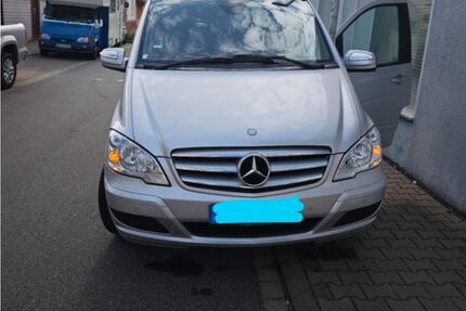 Mercedes Viano