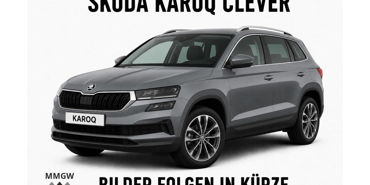 Skoda Karoq 80.327 km 22.990 &euro; Bensheim 64625