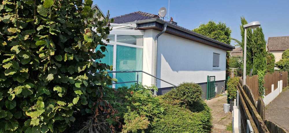 Einzigartige Gelegenheit: Etablierte Katzenpension mit 310 m² überdachtem Außenbereich und Bungalow 5 zimmer