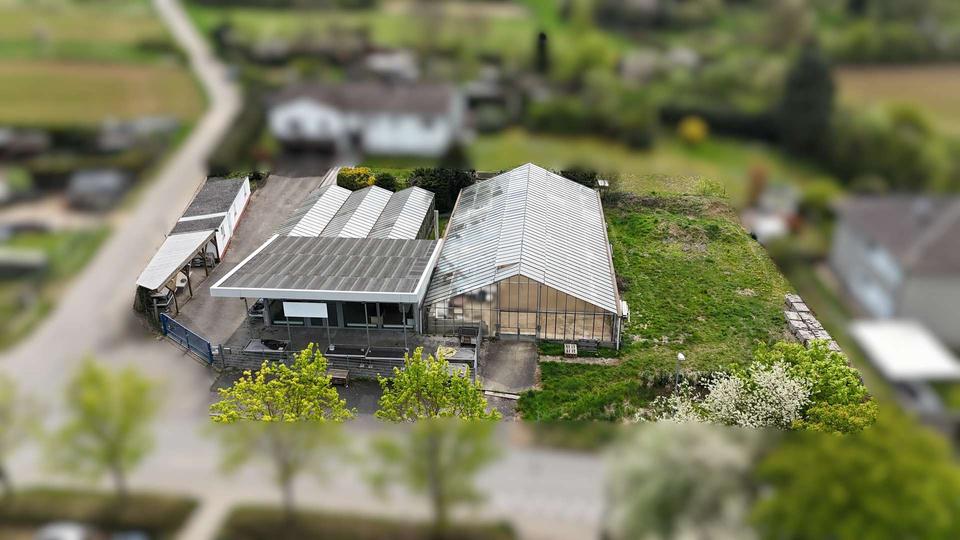 Blumenladen oder Hofladen mit Café für kreative Unternehmer zimmer