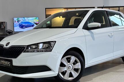 Skoda Fabia 102.957 km 7.980 € Rodgau-Weiskirchen/nähe Frankfurt am Main 63110