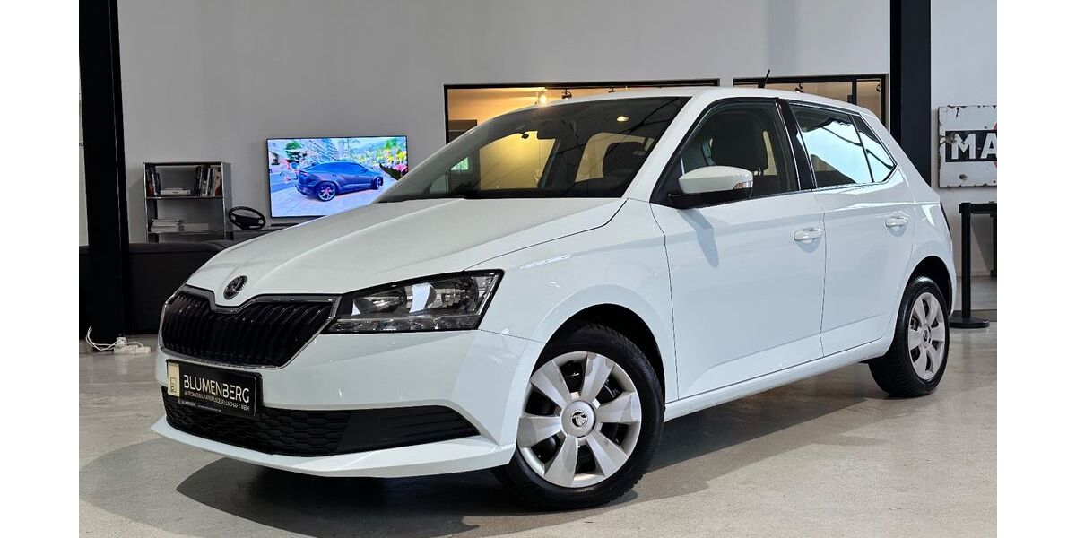 Skoda Fabia 102.957 km 7.980 &euro; Rodgau-Weiskirchen/nähe Frankfurt am Main 63110