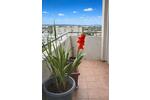 Etagenwohnung Offenbach am Main Bieberer Berg - 3 Zimmer, 63 m&sup2;, 270.000&euro; | Angebot:26199664