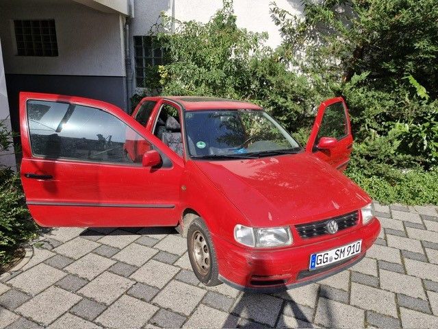 Polo