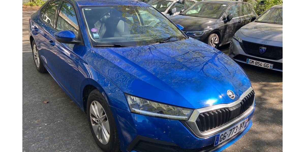 Skoda Octavia 136.000 km 13.685 &euro; Hofheim am Taunus 65719