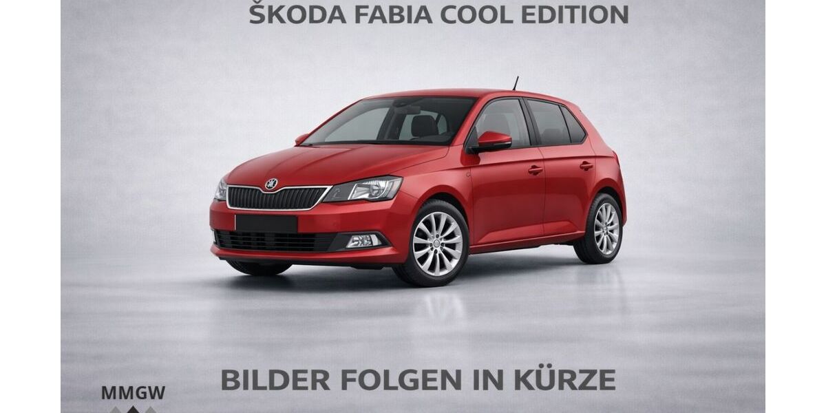 Skoda Fabia 160.000 km 6.990 &euro; Bensheim 64625