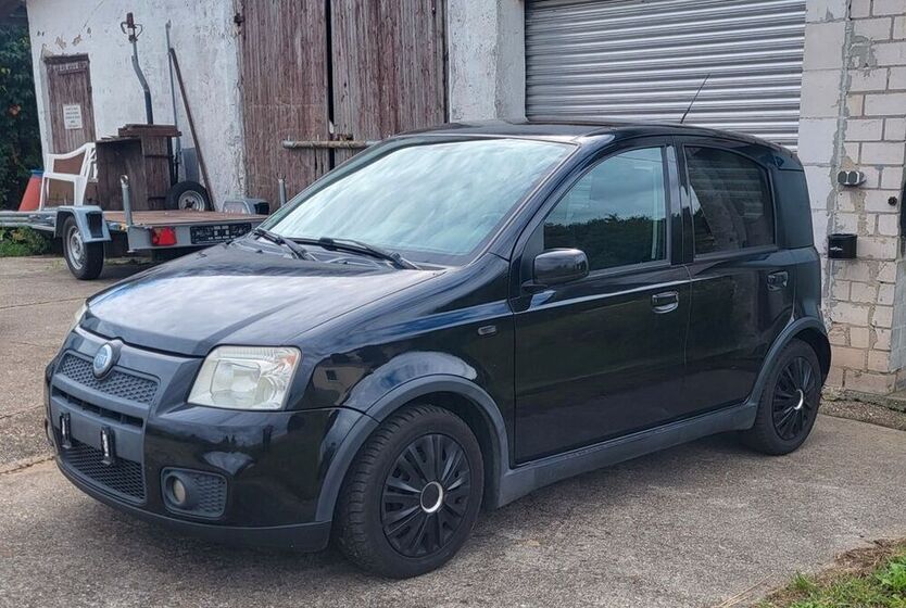 Panda