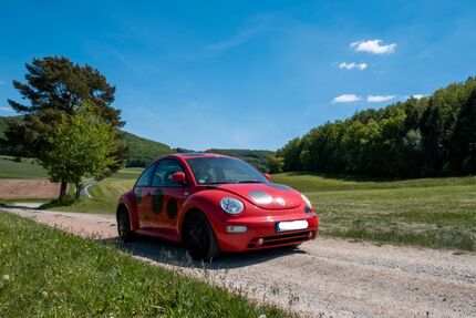 VW New Beetle 216.904 km 900 &euro; Buttlar 36419