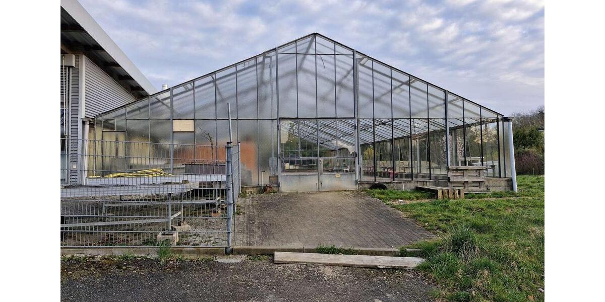 Blumenladen oder Hofladen mit Café für kreative Unternehmer zimmer