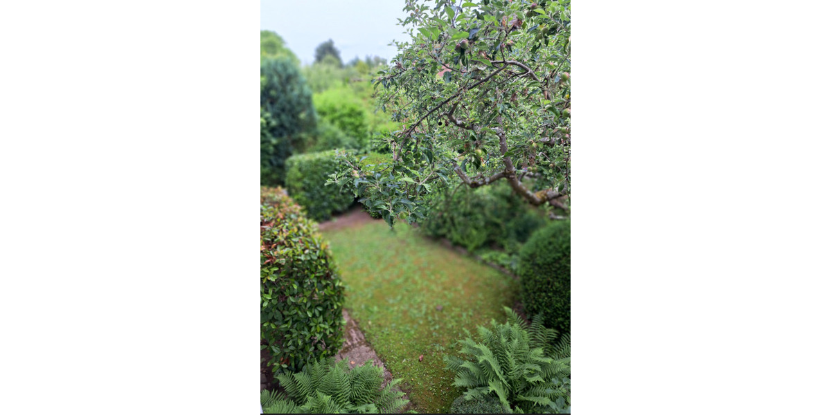 Einfamilienhaus Dieburg - 6 Zimmer, 176 m&sup2;, 1.950&euro; | Angebot:25628063