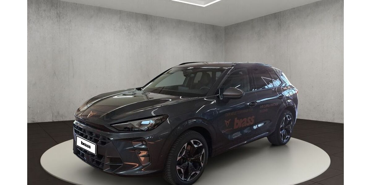 Cupra Terramar 22.000 km 41.980 &euro; Offenbach 63075