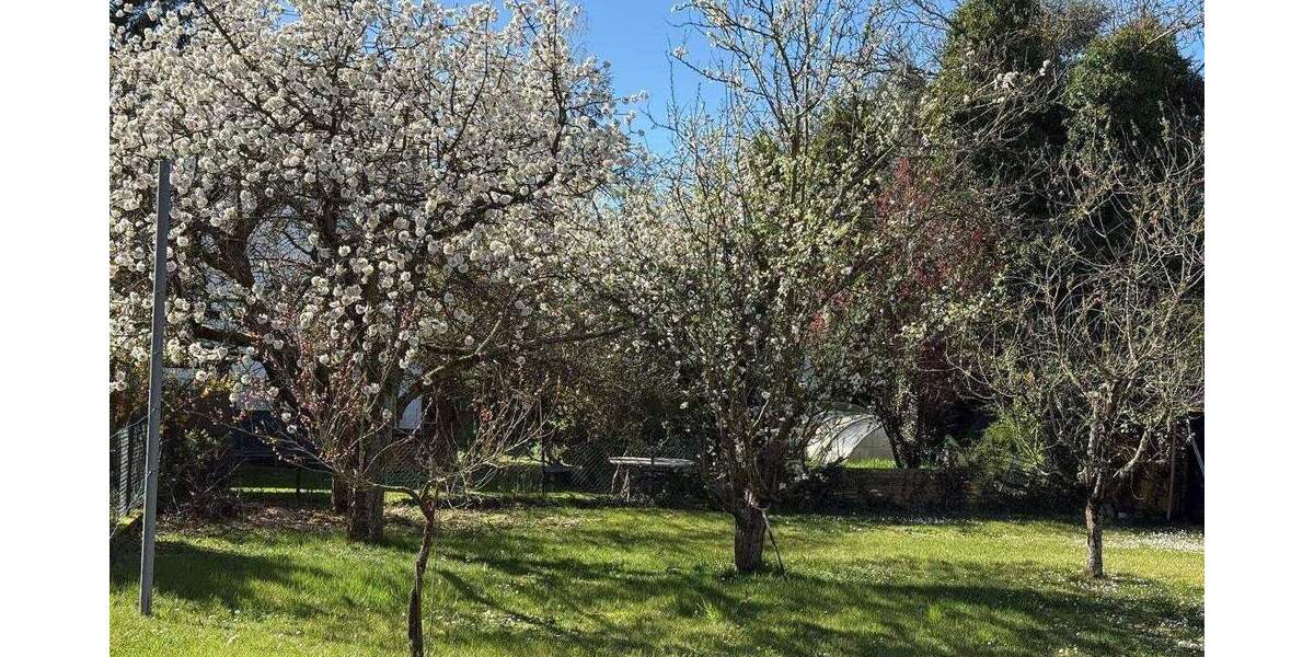 Bungalow mit großem Grundstück zimmer