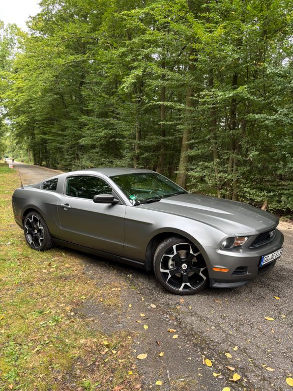 Mustang