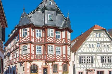 Haus zum Kaufen in Heppenheim 1.050.000 € 530 m² 20 zimmer