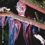 Nosferatus Auferstehung