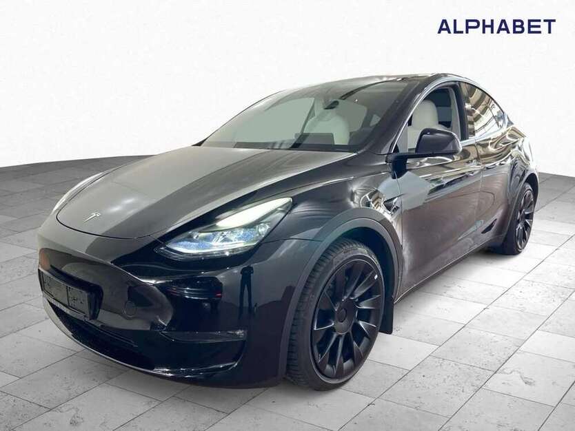 Model Y