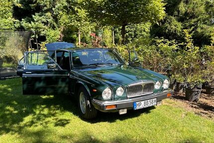 Jaguar XJ 67.800 km 13.150 € Bensheim 64625
