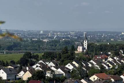 Wohnung zum Kaufen in Hochheim a. Main 388.000 € 187 m² 4.5 zimmer