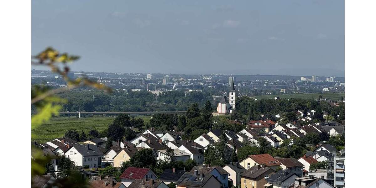 Wohnung zum Kaufen in Hochheim a. Main 388.000 € 187 m² 4.5 zimmer