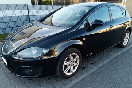 Seat Leon 229.000 km 2.700 &euro; Riedstadt 64560
