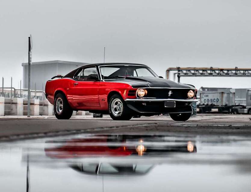 Mustang