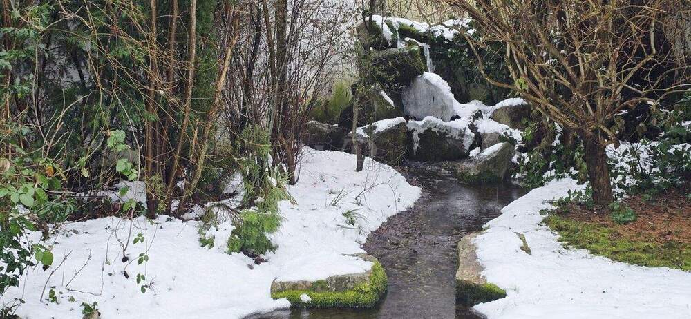 Bungalow Münster - 3 Zimmer, 133 m&sup2;, 795.000&euro; | Angebot:25467511