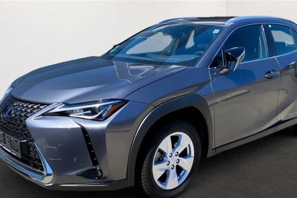 Lexus UX 40.700 km 25.000 € Darmstadt 64293