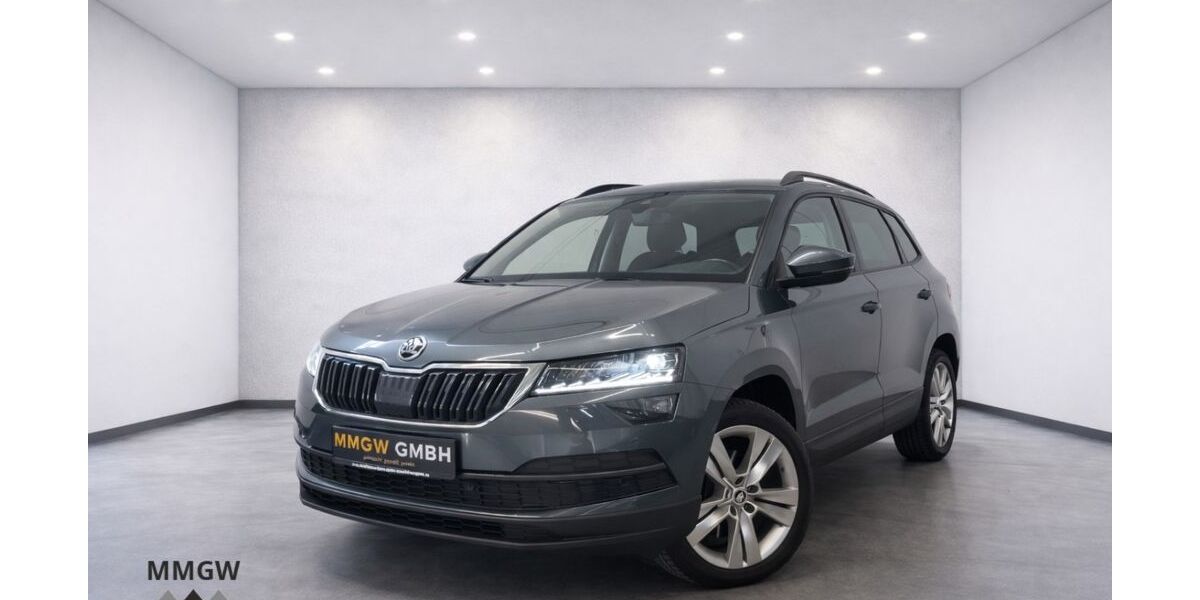Skoda Karoq 133.324 km 17.990 &euro; Bensheim 64625