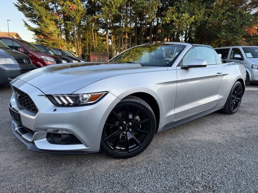 Mustang