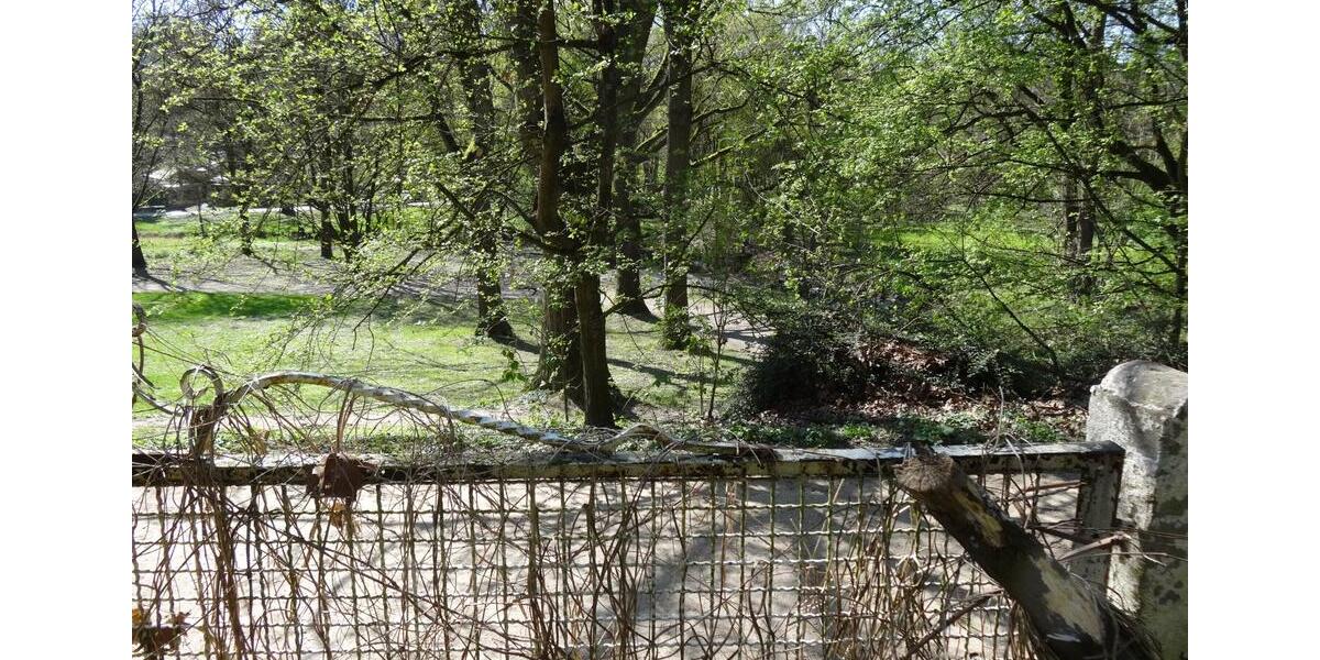 Einfamilienhaus Frankfurt am Main Sossenheim - 14 Zimmer, 320 m&sup2;, 1.850.000&euro; | Angebot:25643714