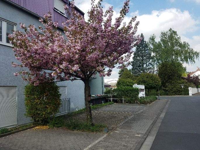 Büro, CoWorking oder Logistikzentrale in GSI nähe - All-in-Miete zimmer