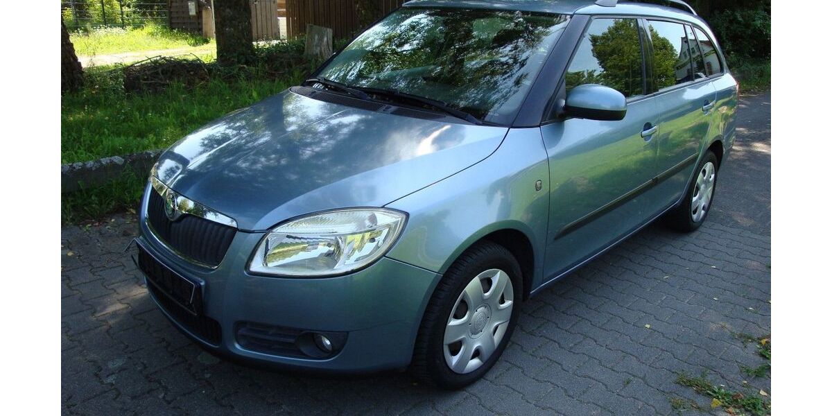Skoda Fabia 74.500 km 7.799 &euro; Lorsch 64653