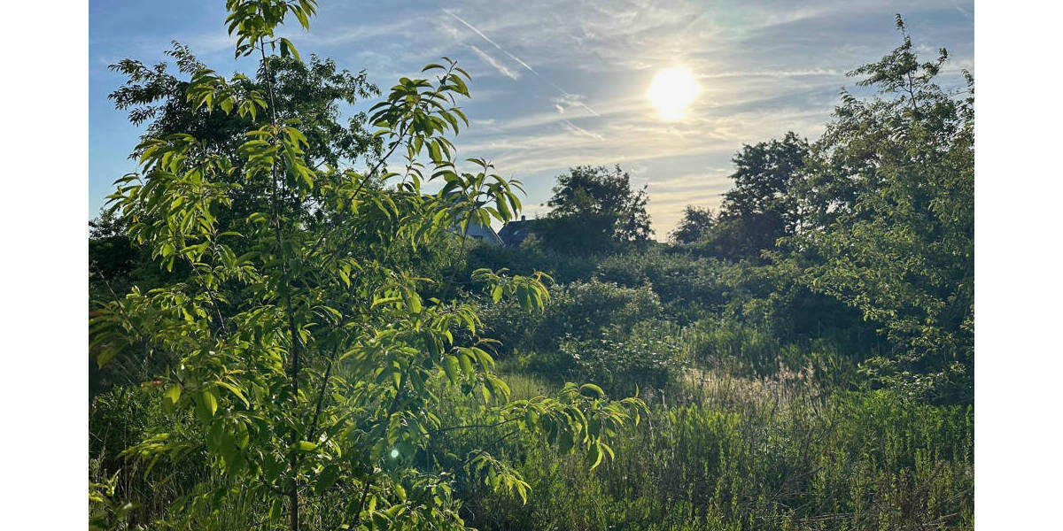 Grundstück Heusenstamm - 398.000&euro; | Angebot:23979762