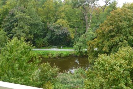 Rüsselsheim schöne 1 ZKBB Wohnung nähe Horlachgraben zimmer